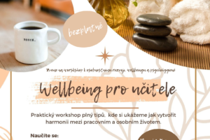 Wellbeing pro pedagogy