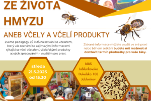 Ze života hmyzu aneb včely a včelí produkty